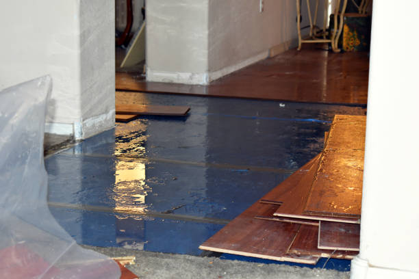 Professional Emergency Water Damage Restoration technician working in Harmon, IL